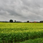 Das Leben ist auf Vermehrung angelegt